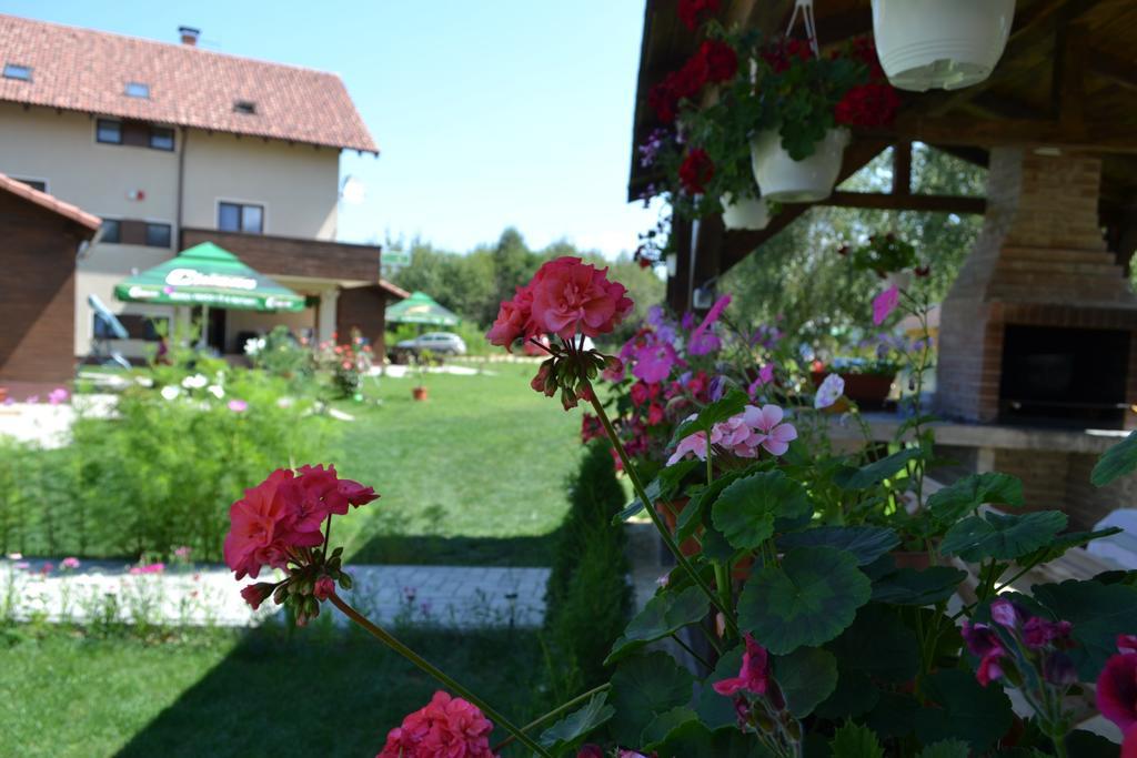 Hotel Pensiunea Royal Garden Sîmbăta de Sus Exterior foto